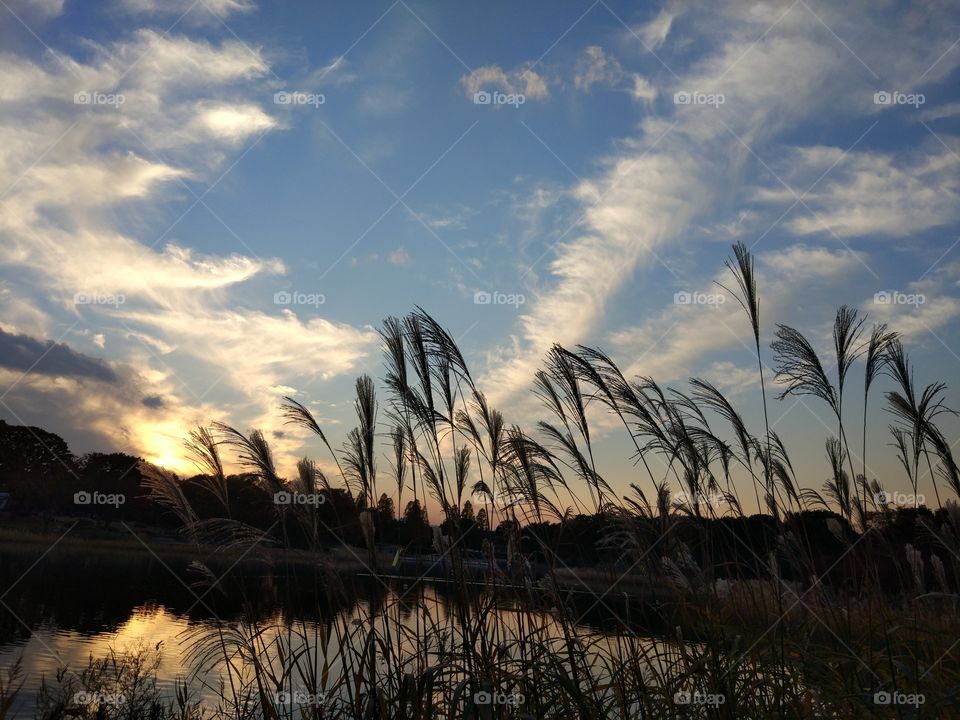 Sunset at Tachikawa park,Japan 