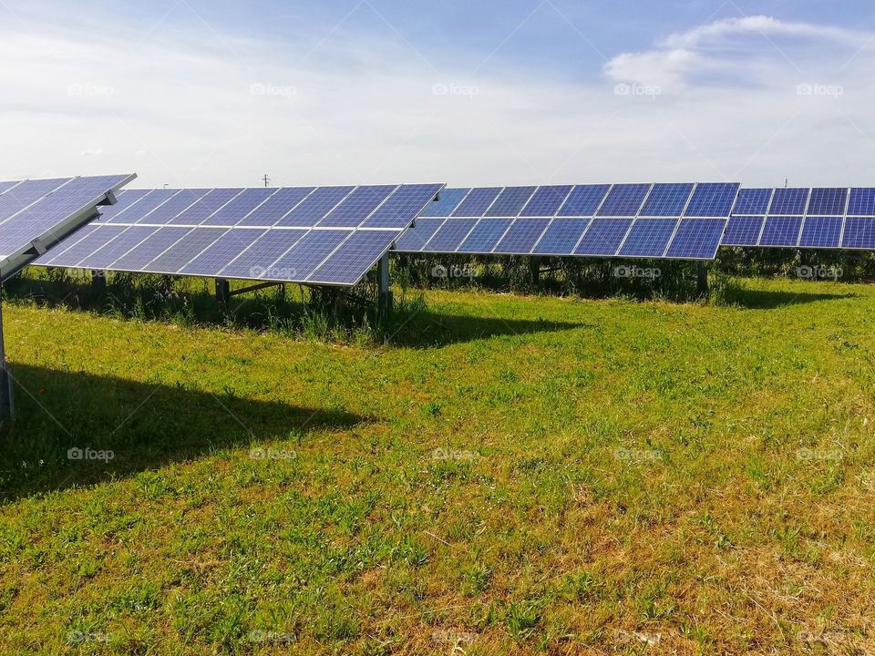 Expanse of solar panels in the countryside