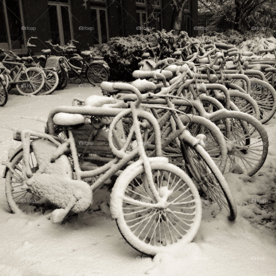snow winter cold bicycles by ips