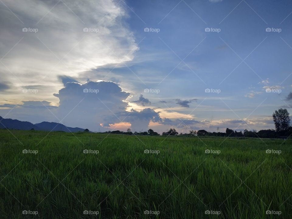 scenic of the evening landscape green Field and blue shade of sky.Cloudscape in the evening with blue and orange tone above green field.