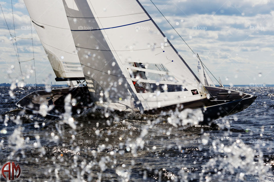 Sailing race, dragons