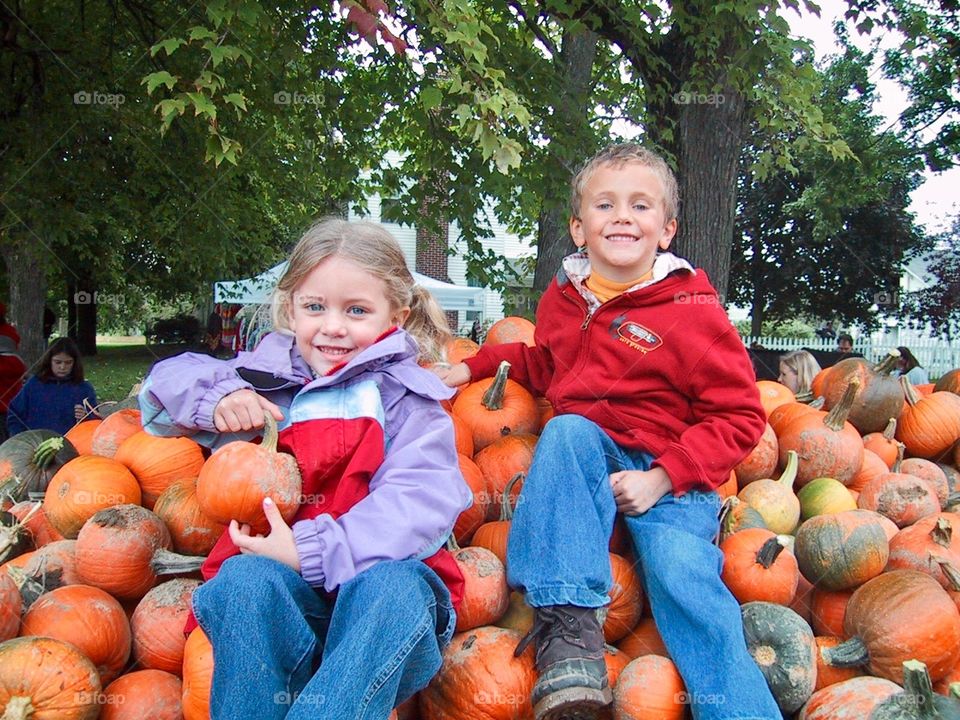 Two a Top of Mini Pumpkins