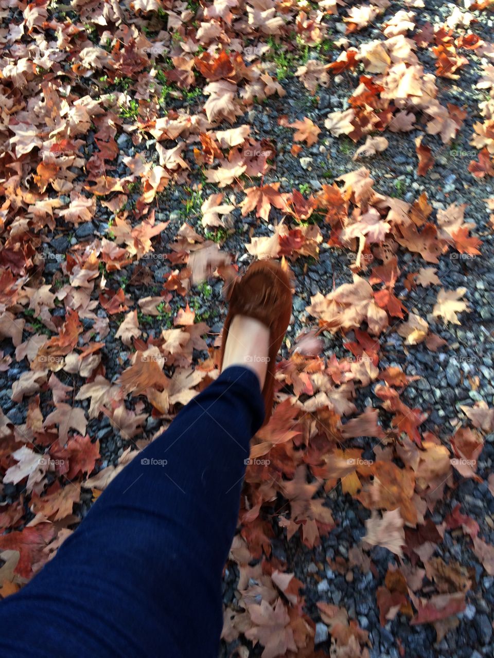 People, Fall, Leaf, Outdoors, Woman