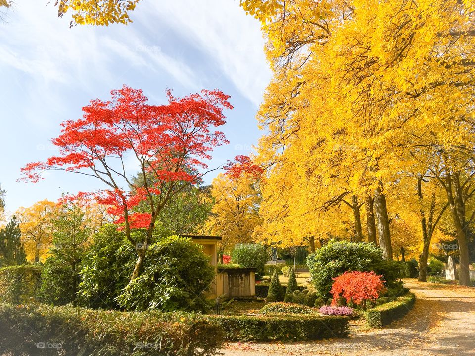 autumn cemetery