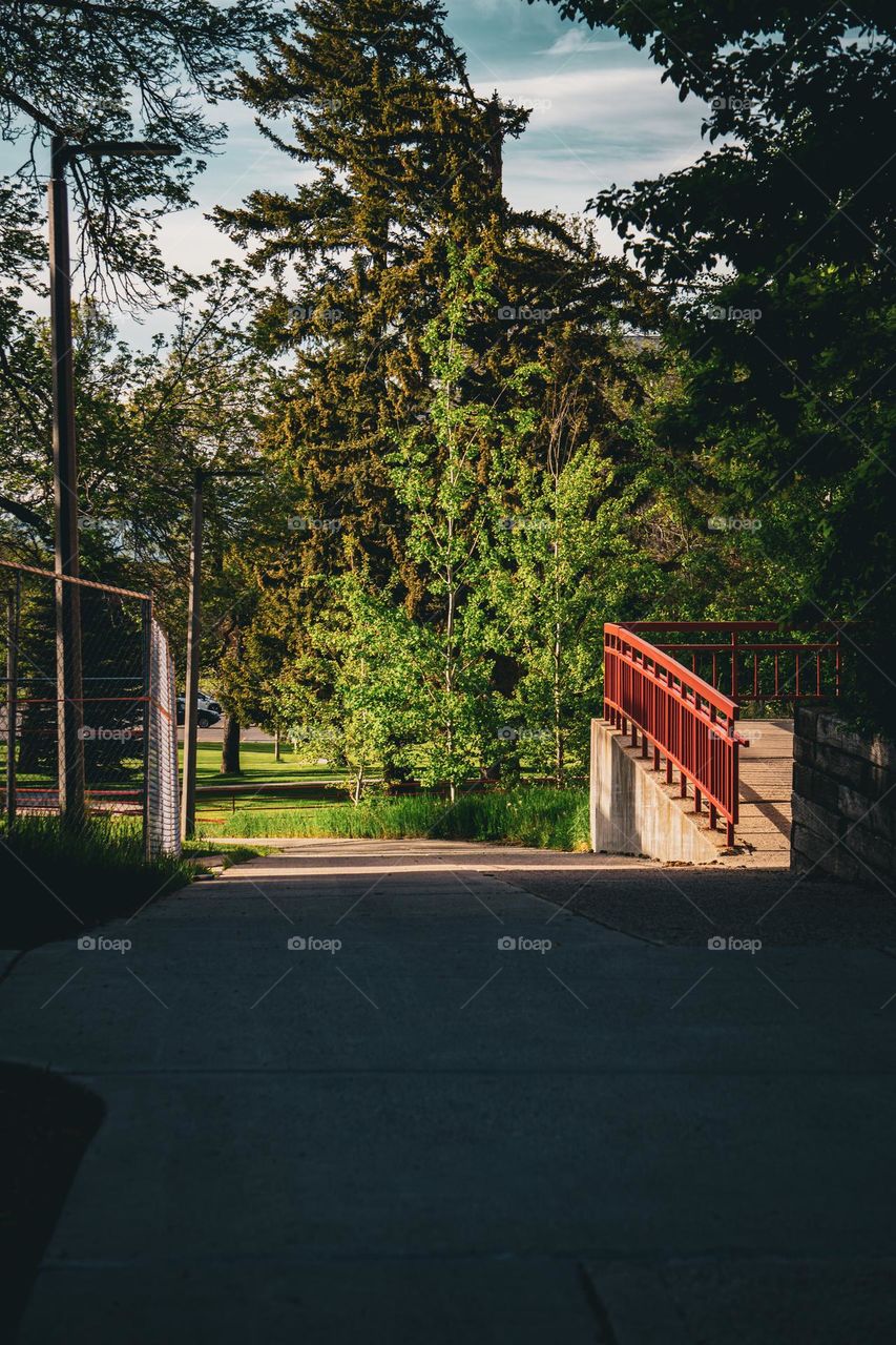 MSU has the best paths around their campus.