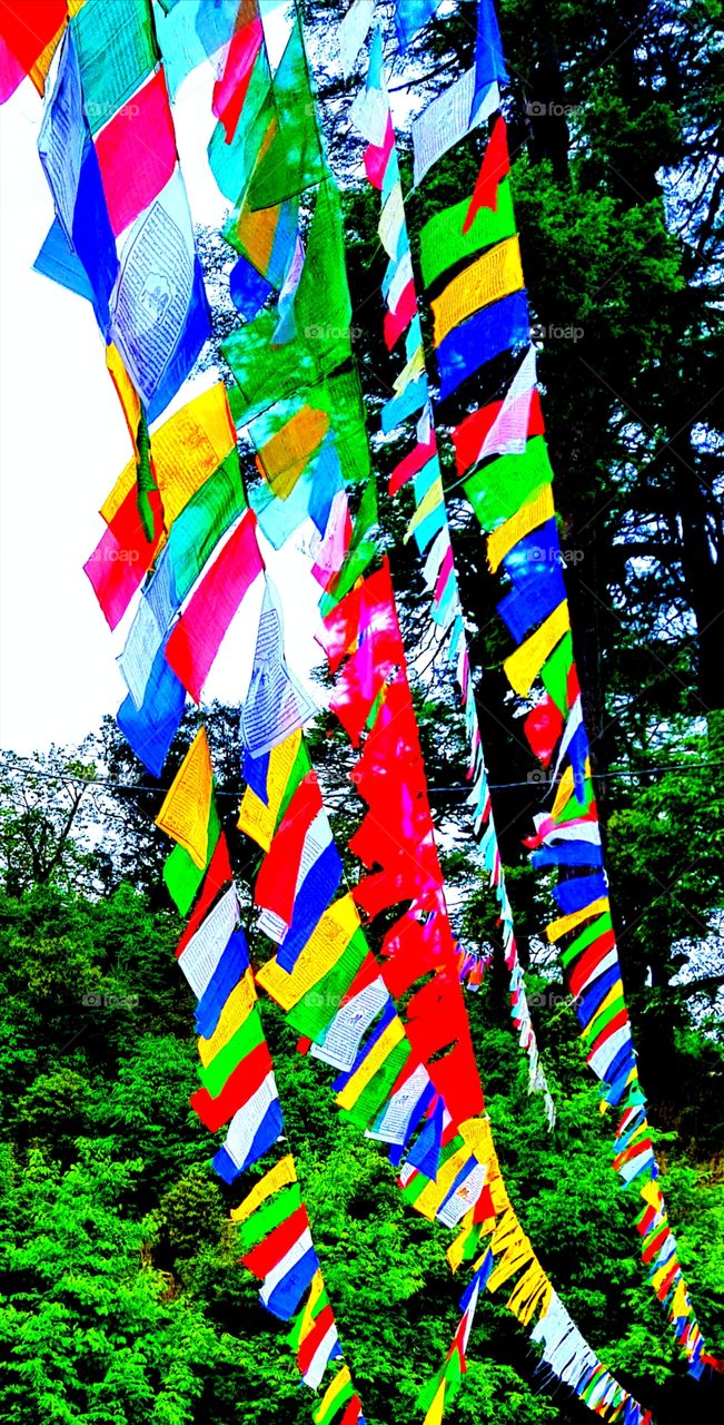 This flag is known as LUNGTA which means the WINDHORSE flag. It has 5 different colors in the sequence blue, white, red, green and yellow. Blue symbolizes the sky and space, white symbolizes the air and wind, red symbolizes fire, green symbolizes water, and yellow symbolizes earth. The wind passing through this flag purifies the air and converts all the evils into good fortune in the speed of the fastest running horse. ultimately bring peace and harmony in the world.