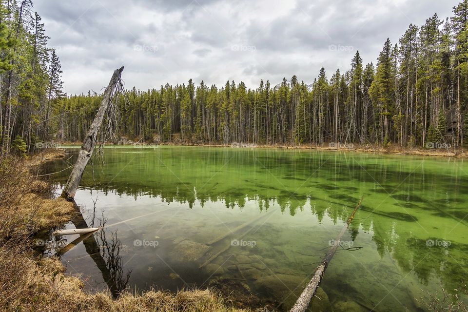 Herbert Lake, Alberta - Canada