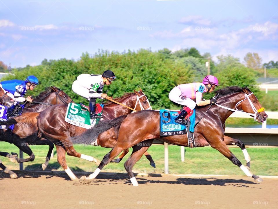 The Cotillion Stakes. Calamity Kate leads the best 3yr-old fillies into the first turn in the Cotillion stakes at Parx Racing. 
Fleetphoto 