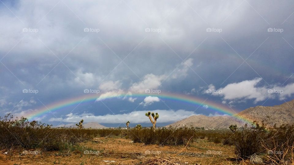 Mohave Desert Rainbow