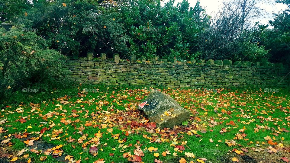 Golden Autum in Ashton.