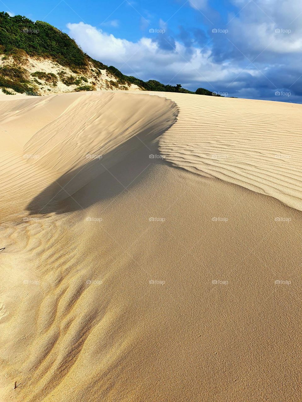 Dunes