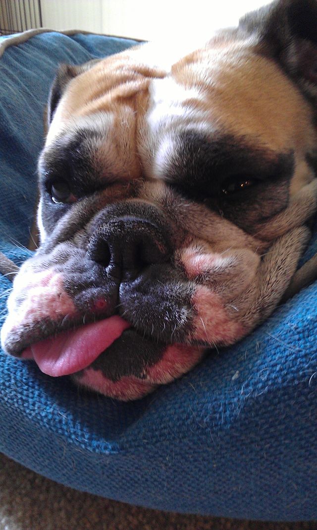 Resting!!!!