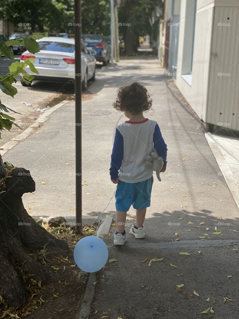 My dear kitty and blue balloon