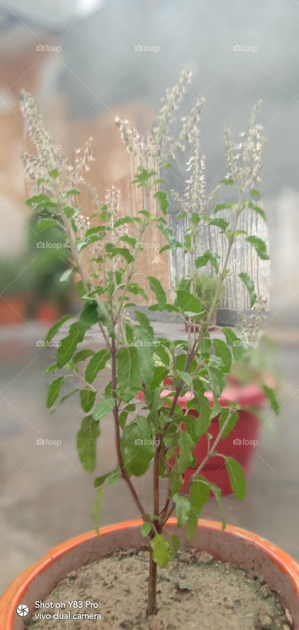 #foap #infoapartemen #foapjuly18 #foapaug18 #foapfeb18 #foapapril17 #foapers #foapjune18 #fotografoaprendiz #sfoapprentices #foaper #infoapartment #foapmission #foapmay18 #foapapr18 #foapit #infoaplikasipaytren #infoapple #foapom #foapjan19 #infoapp 