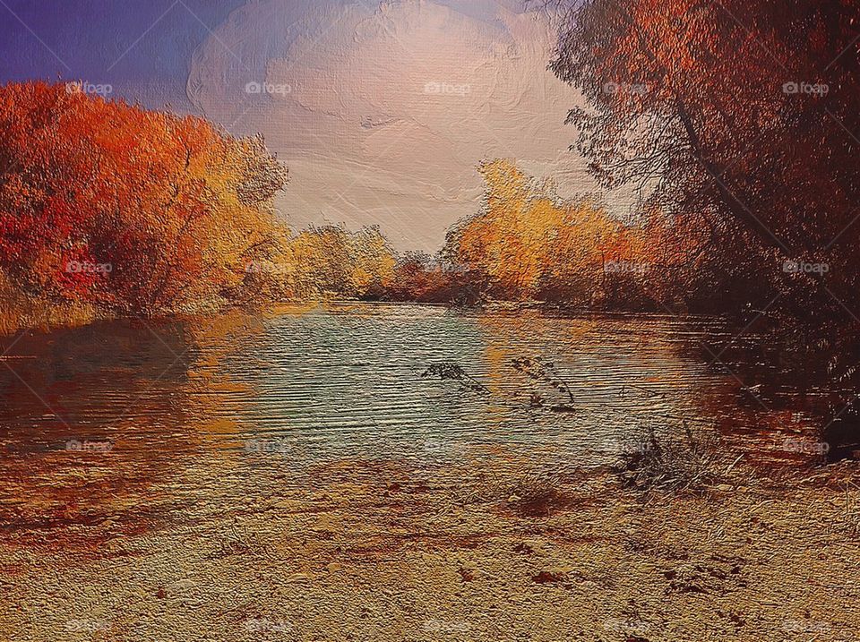 Fall On The Water
