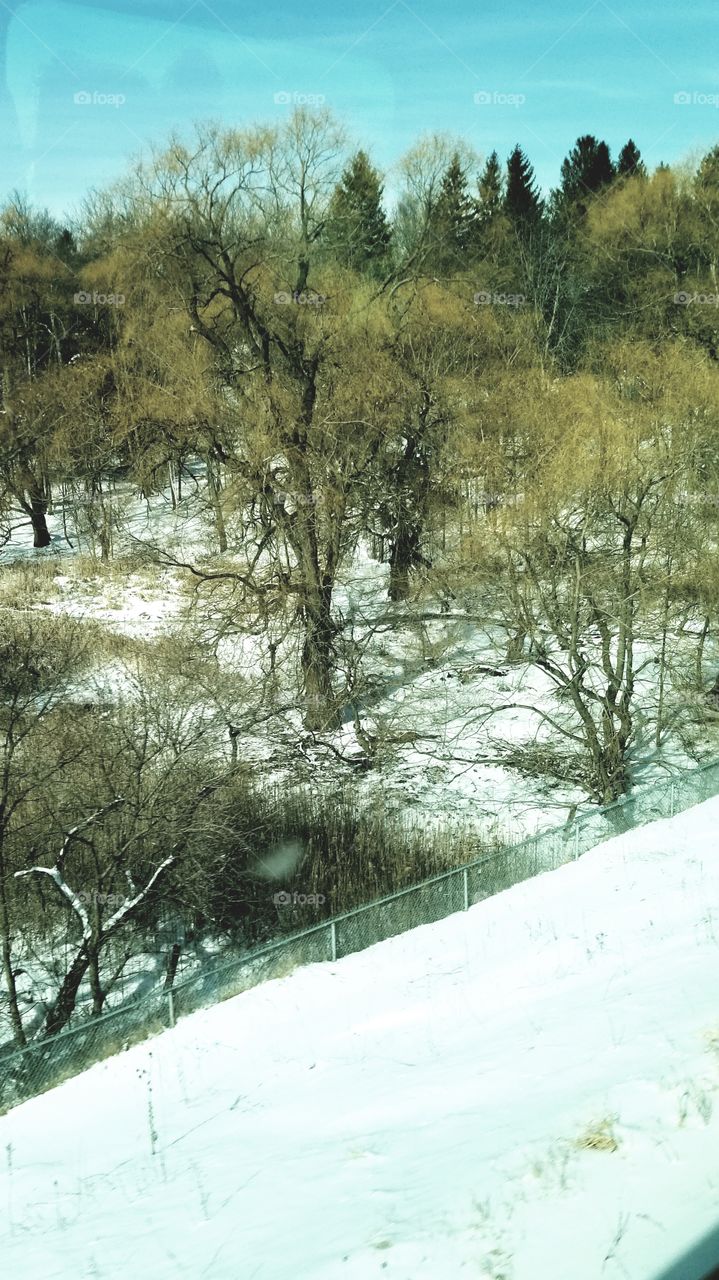 Pictures from Toronto go train