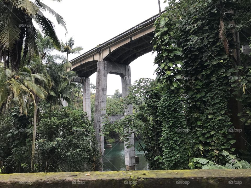 Old bridge. Big Island, Hawaii. Sugar plantation days.