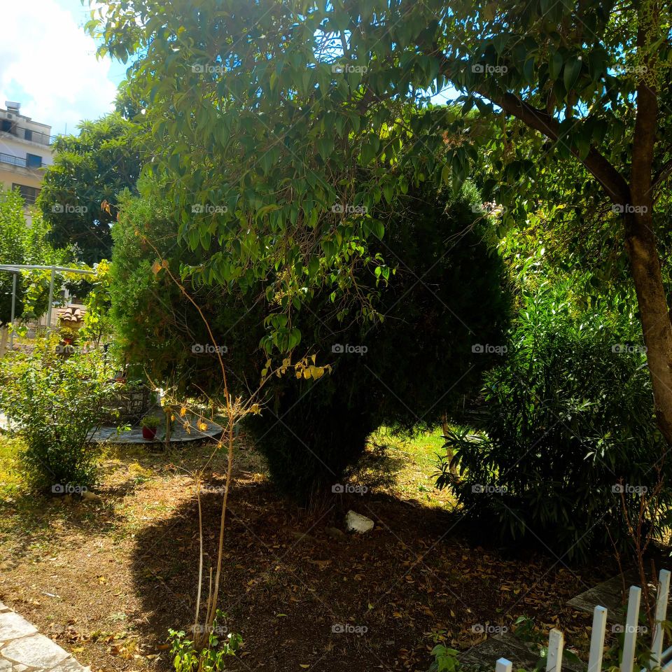 Nature at the wnd of September