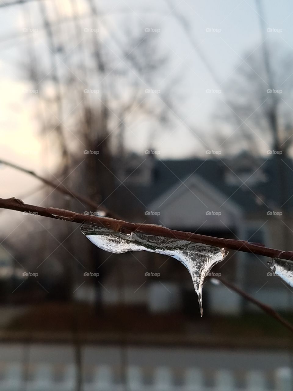 icy droplets