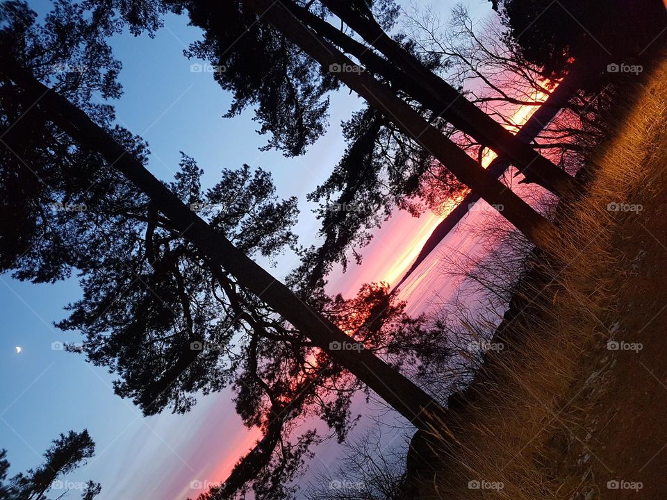 winter sunset sweden