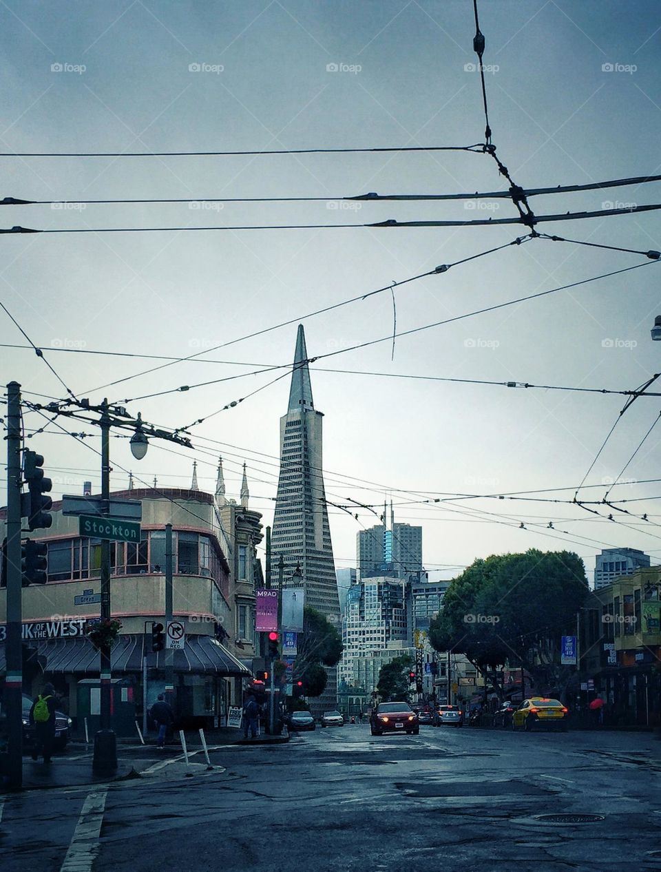 Transamerica Pyramid in San Francisco 