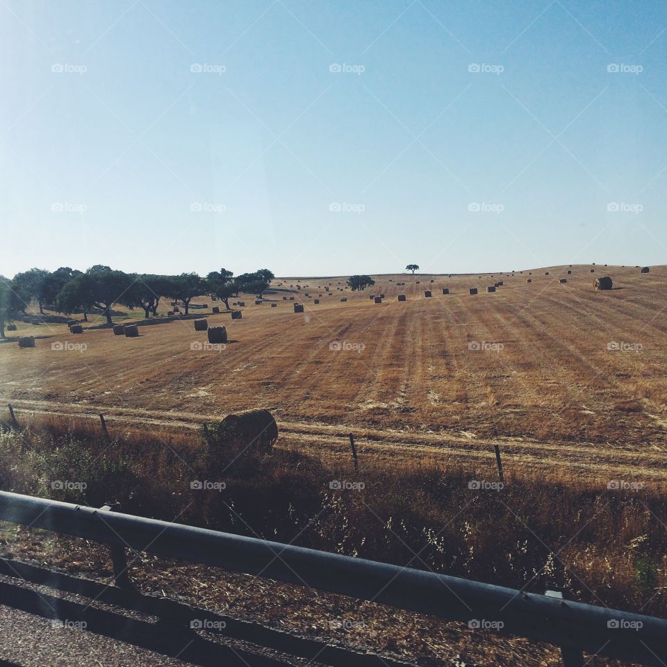 Landscape, Road, No Person, Desert, Agriculture