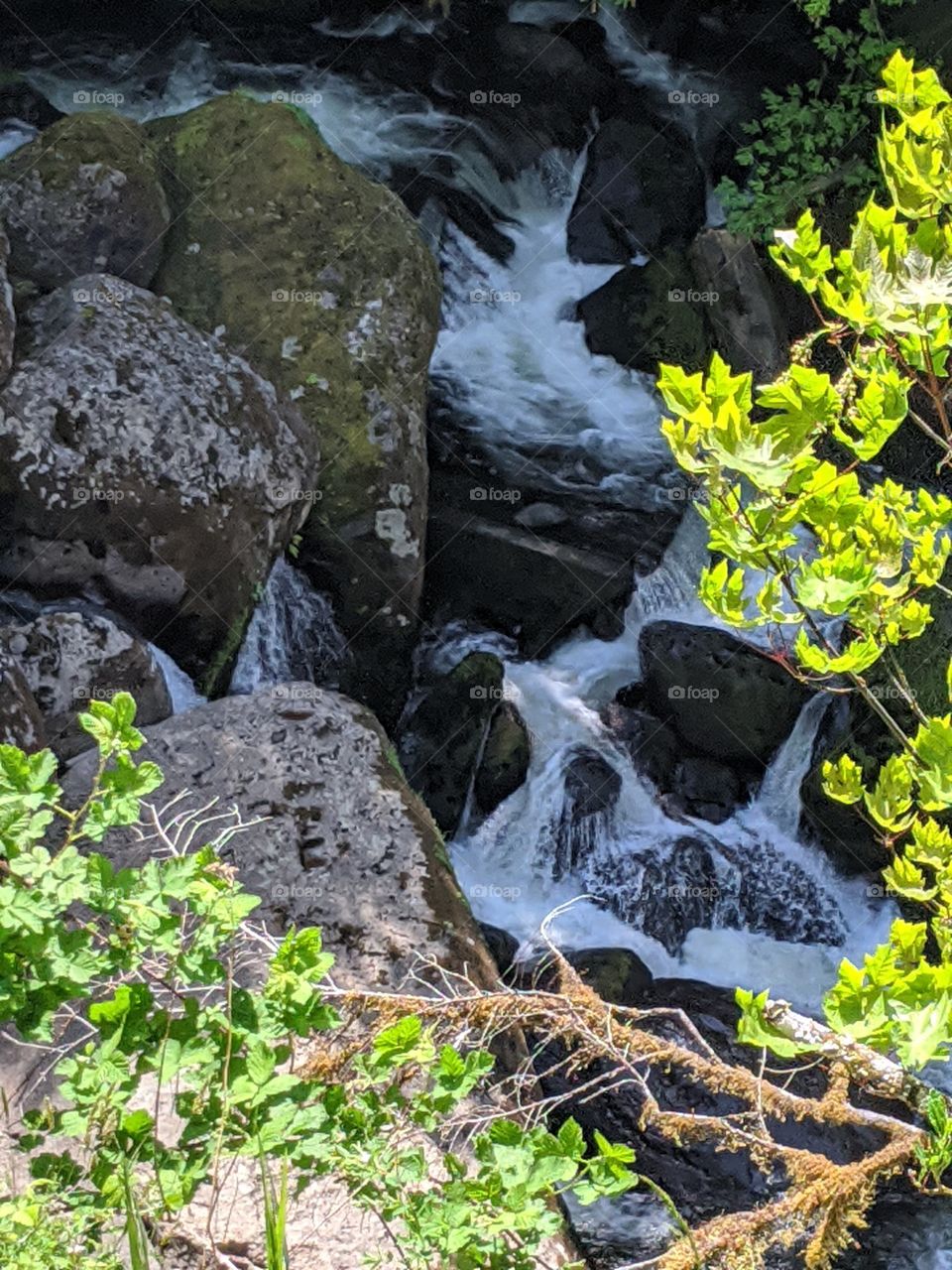 Coquille River, Oregon