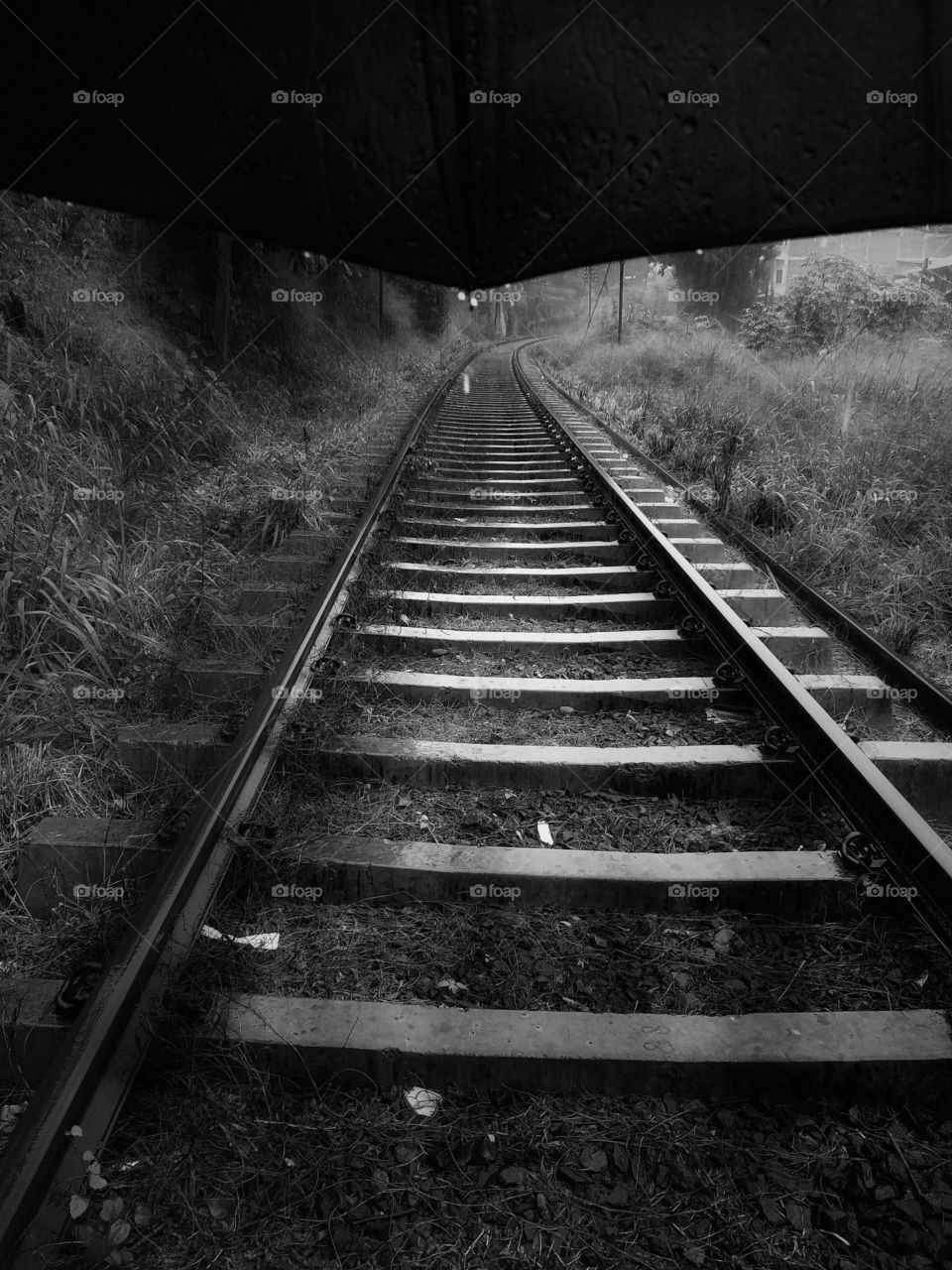 beautiful black and white picture of railway line in rainy season