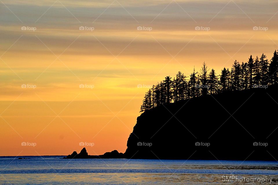 Sunsets and silhouettes 