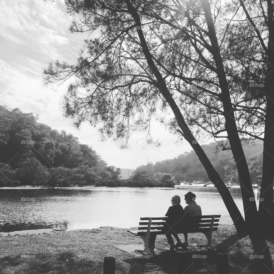 Old couple on a bench looking at water under a tree in black and white