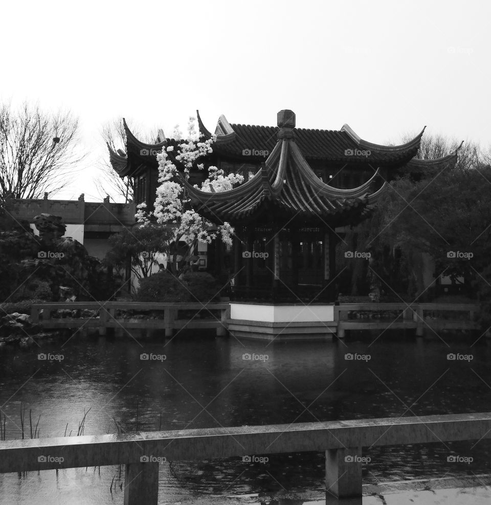 Black and white Chinese garden