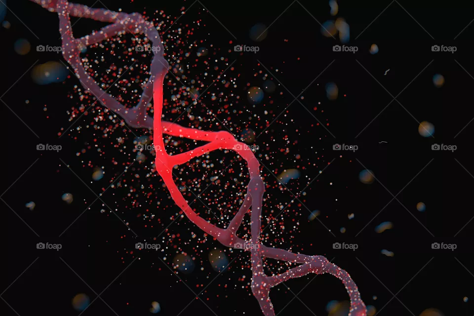 DNA Strand