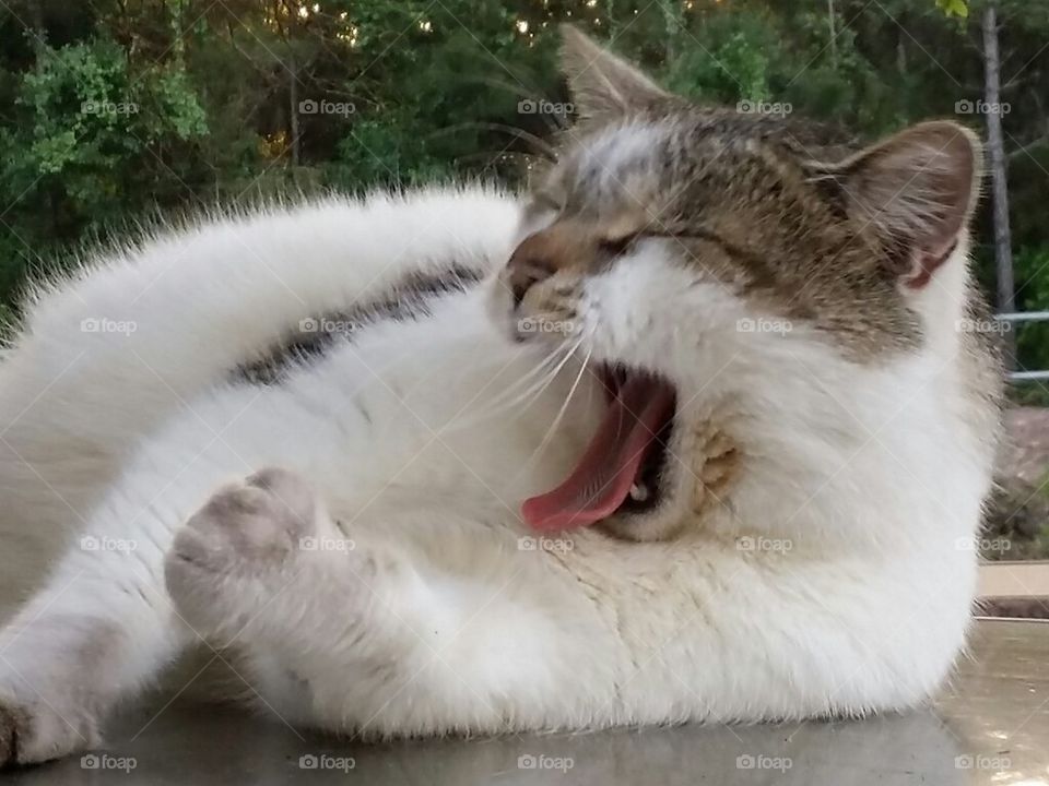 Yawnnnnnn