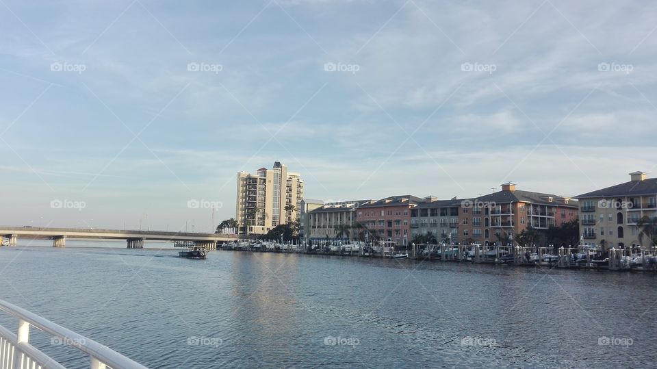 tampa river