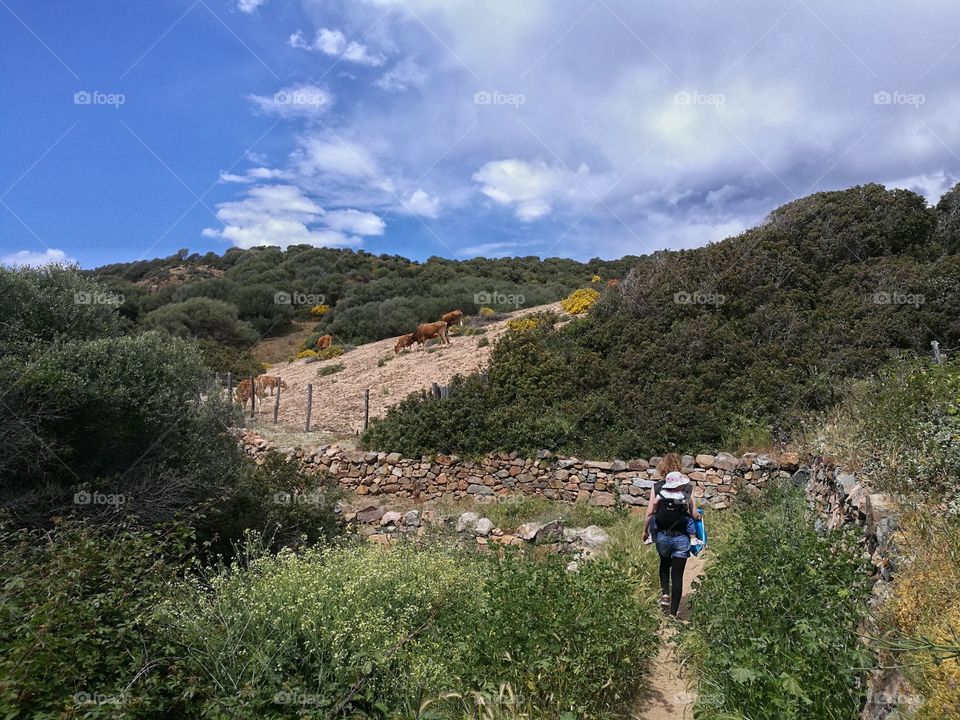 hiking Trail