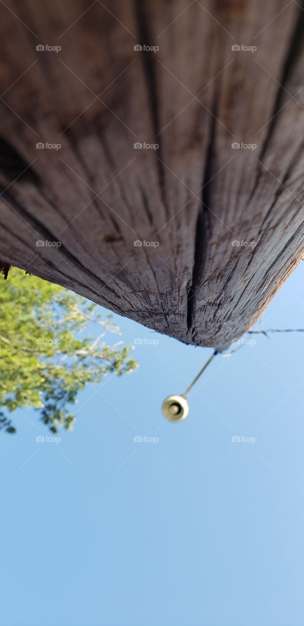 macro of a light pole
