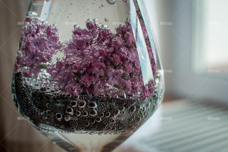 A flower in a wineglass of water