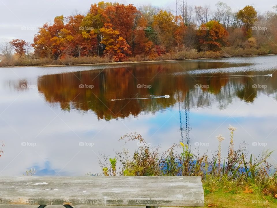 fall season and reflection