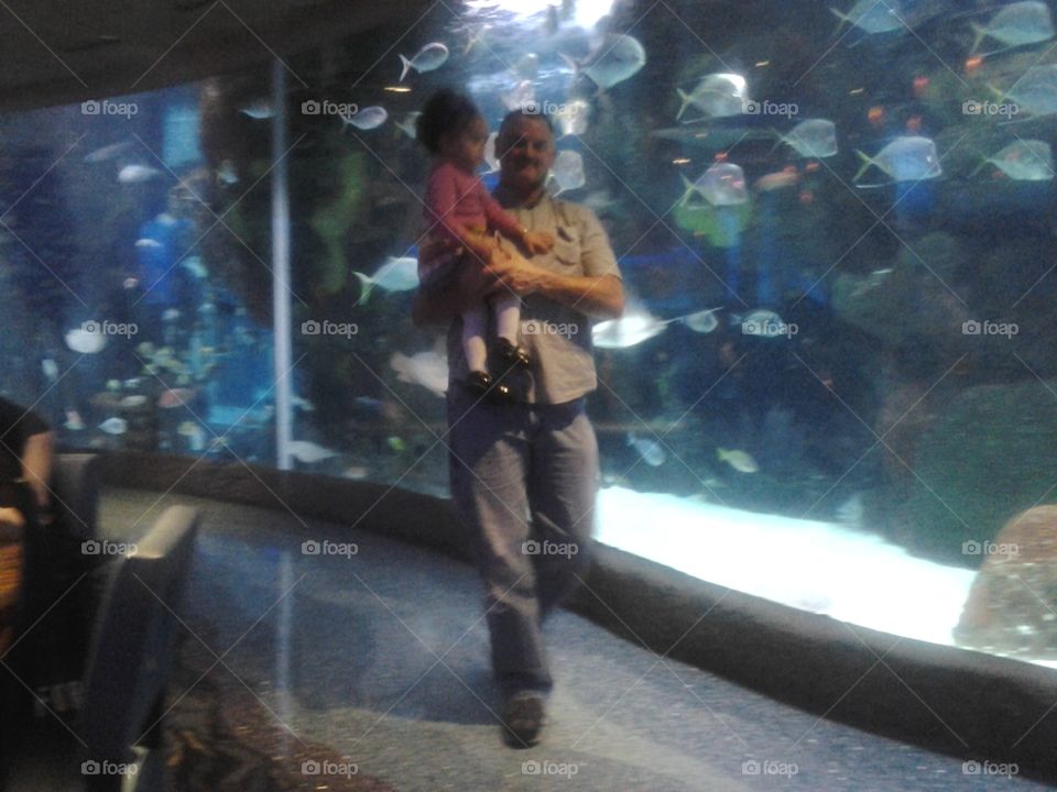 Our Fish Tank. with daddy! !!