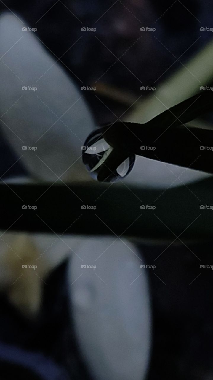 Rainy morning scenes, reflection of a flower in the raindrops.