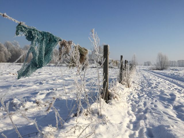 Winter