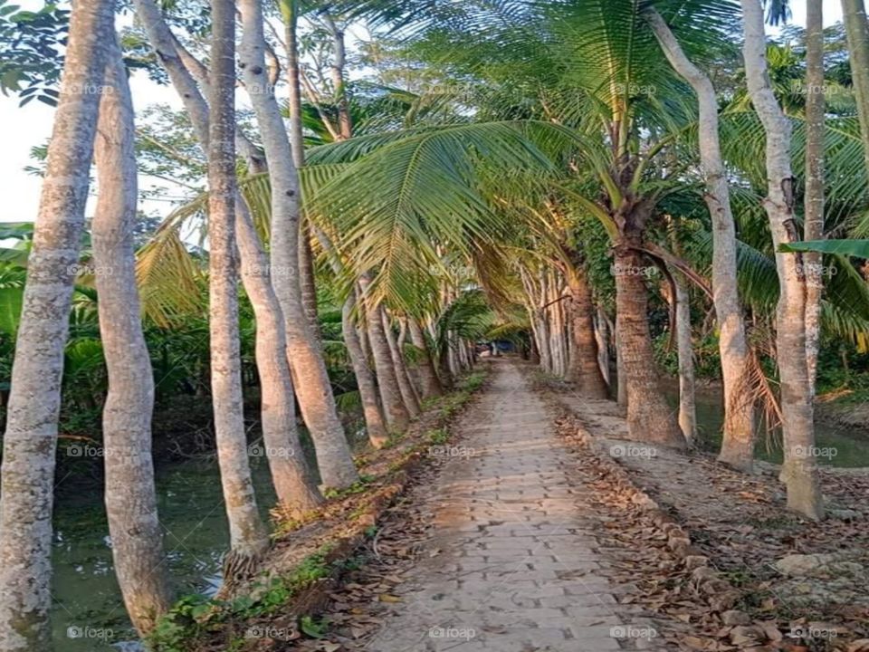 Village road