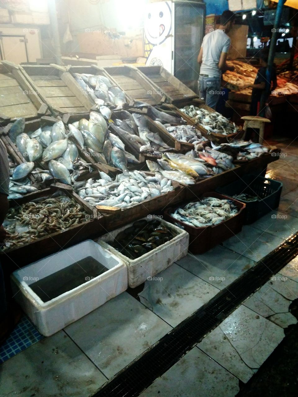 Fish market in Hurghada