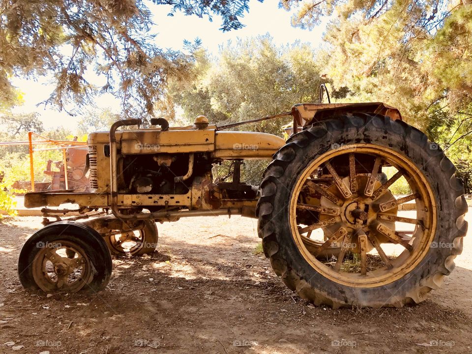 A golden memory to those days of hard labor. 