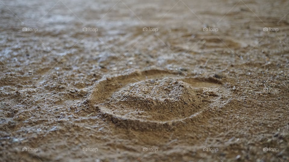 Hoofprint in the sand