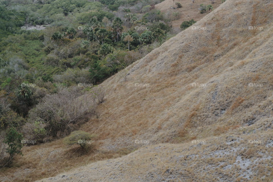 Landscape, Desert, Rock, Nature, No Person