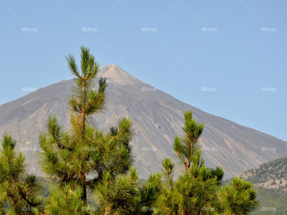 No Person, Tree, Mountain, Travel, Outdoors