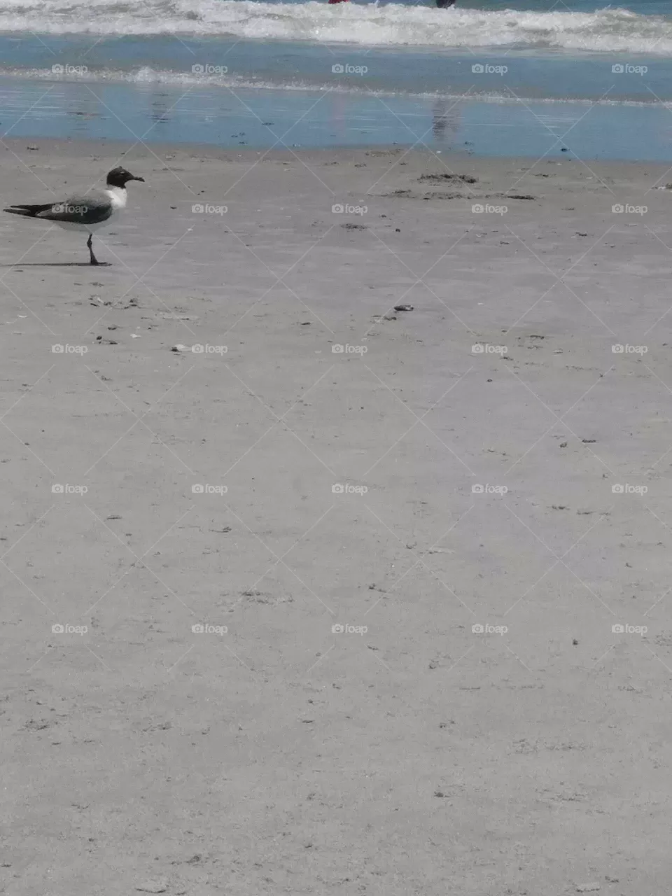 beach