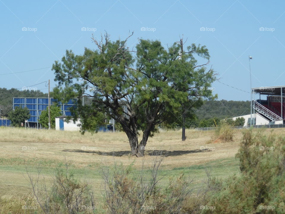 playing with the camera. This is another random picture I took while out exploring. 👣 🚶 🏃 🔥 💨