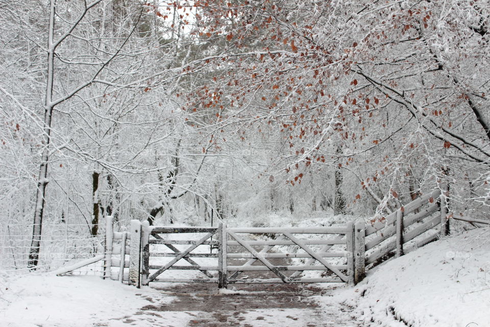 The icy gate